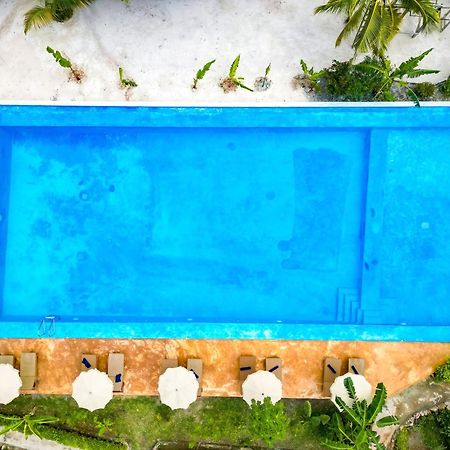 Bella Vista Resort Zanzibar Kizimkazi Kültér fotó