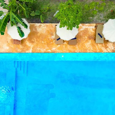 Bella Vista Resort Zanzibar Kizimkazi Kültér fotó