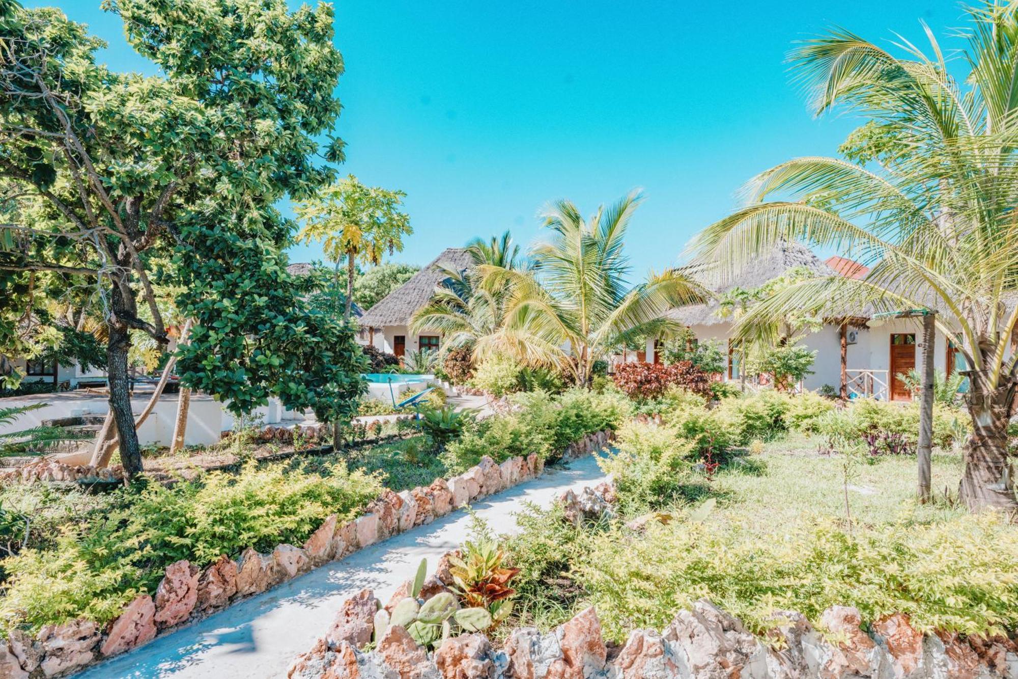 Bella Vista Resort Zanzibar Kizimkazi Kültér fotó