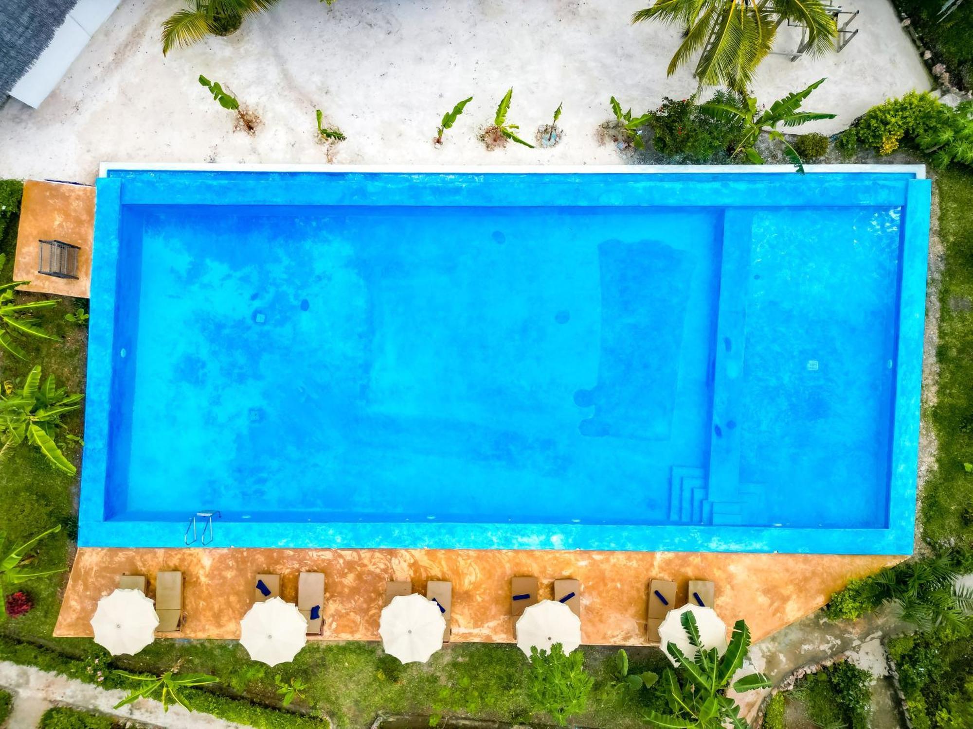 Bella Vista Resort Zanzibar Kizimkazi Kültér fotó