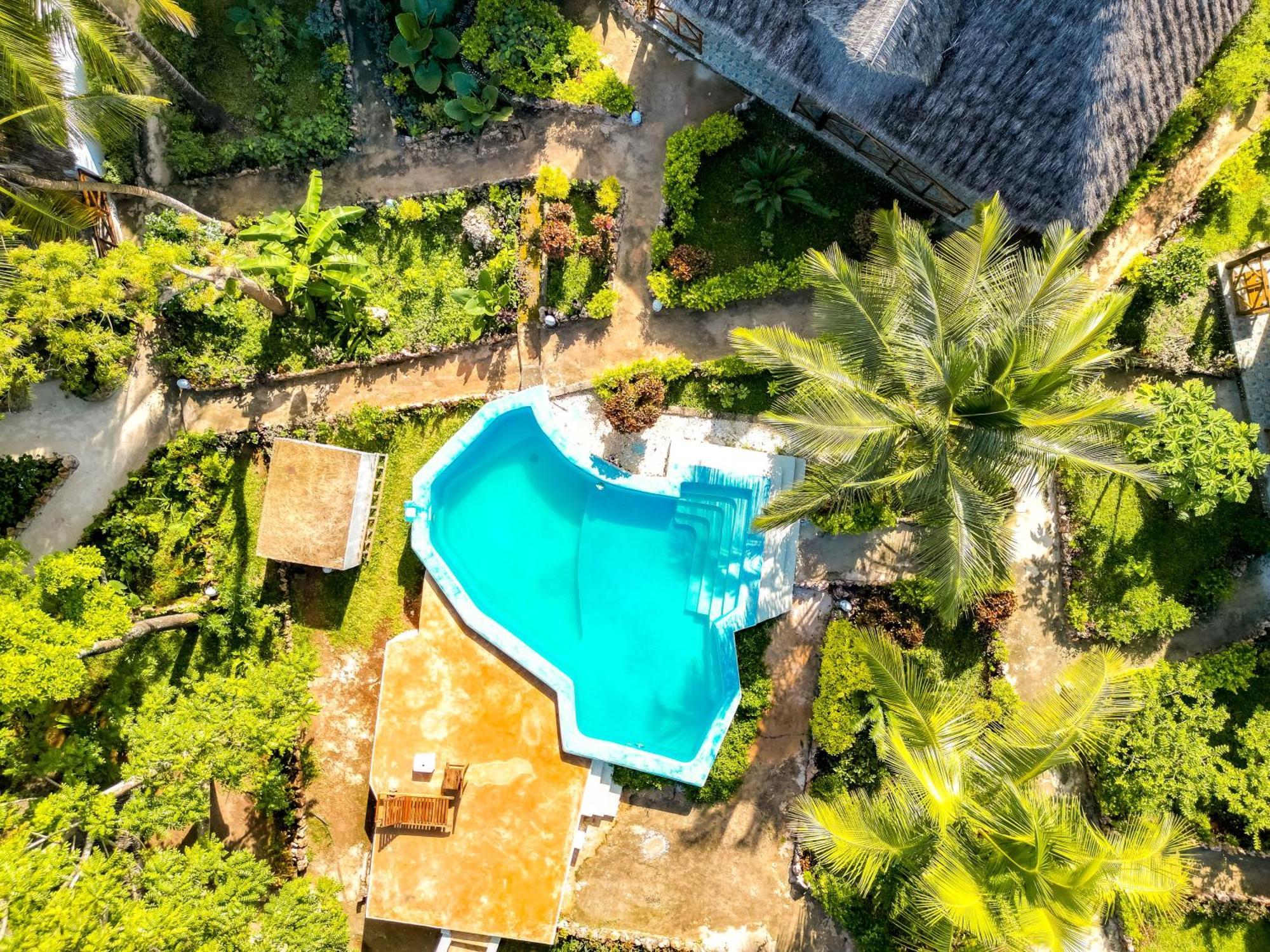 Bella Vista Resort Zanzibar Kizimkazi Kültér fotó